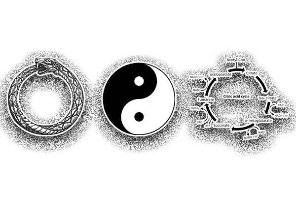 A Self Digesting Engine of Social Metabolism